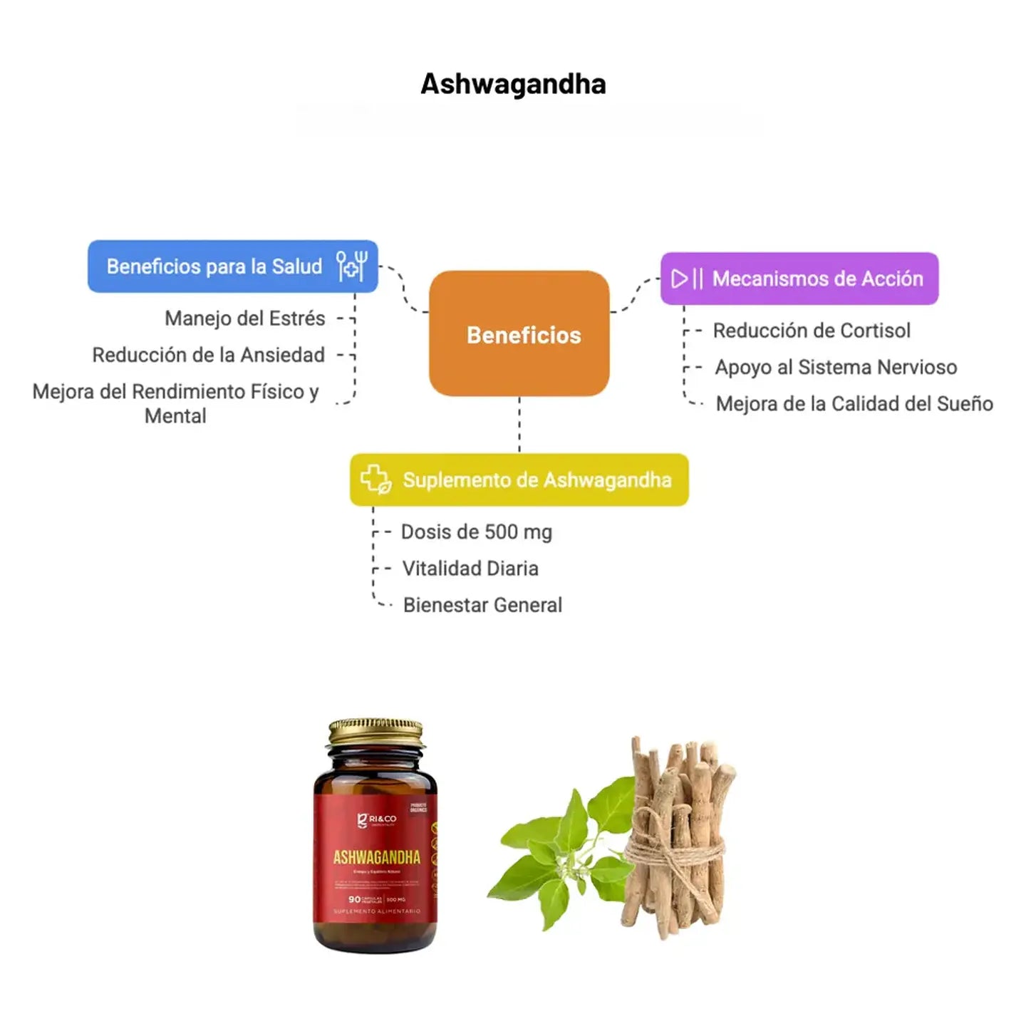 Ashwagandha Evolutrion — modo de uso y dosis