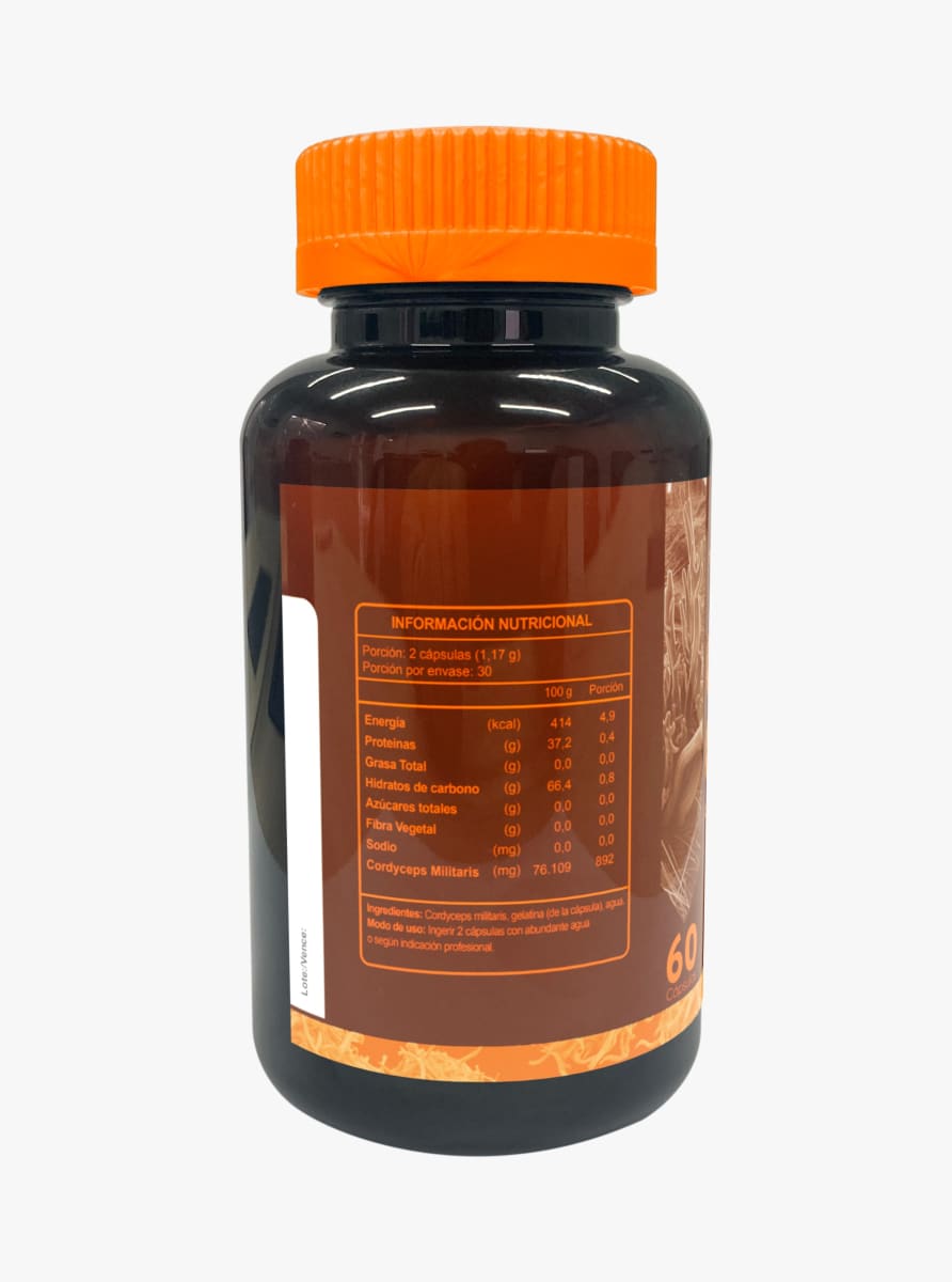 Cordyceps 60 capsulas