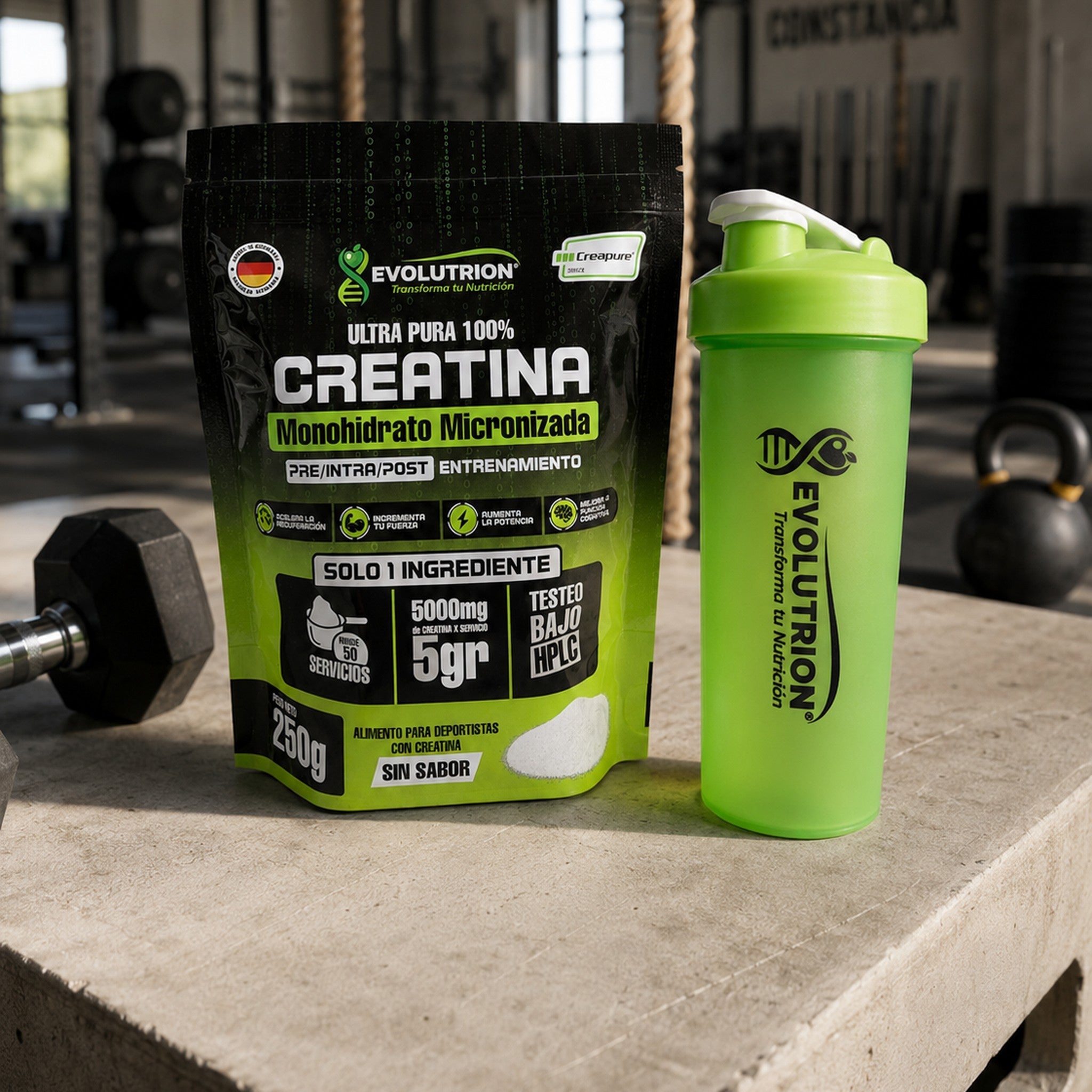 Creatina Creapure® Evolutrion con shaker verde en un box de entrenamiento